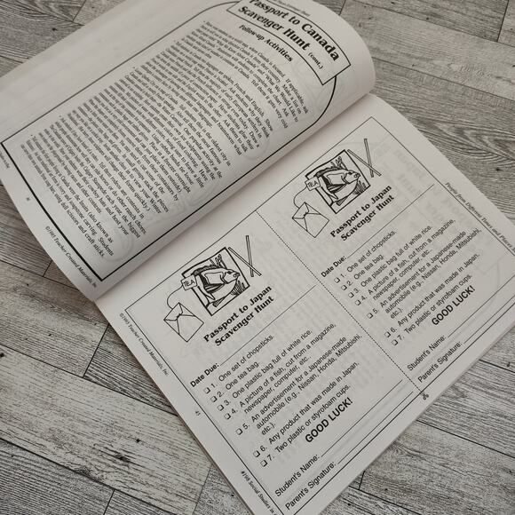 Social Studies In A Bag PRIMARY GRADES 1995 Vtg Teacher Created Materials - Picture 6 of 13